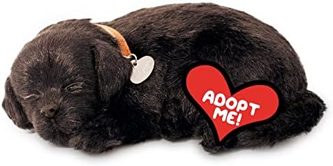 Perfect Petzzz - Realistic Black Lab Stuffed Pet Toy 1