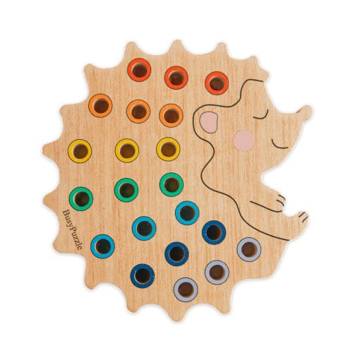 Hedgehog Montessori Sorter Toy for Kids
