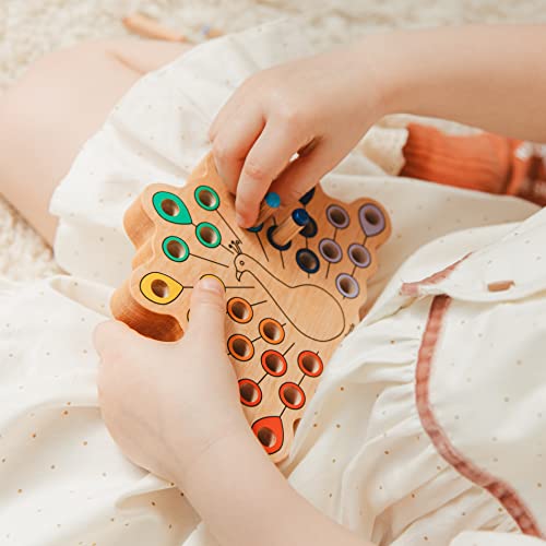 Hedgehog Montessori Sorter Toy for Kids