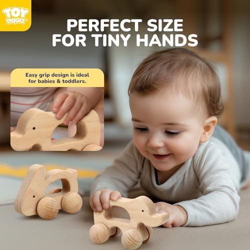 TOY Life Wooden Animal Cars for 0-12 Months