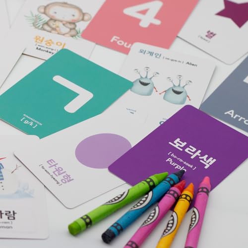 Stellarsol Toddler Korean Flashcards 55 Cards Learning Set