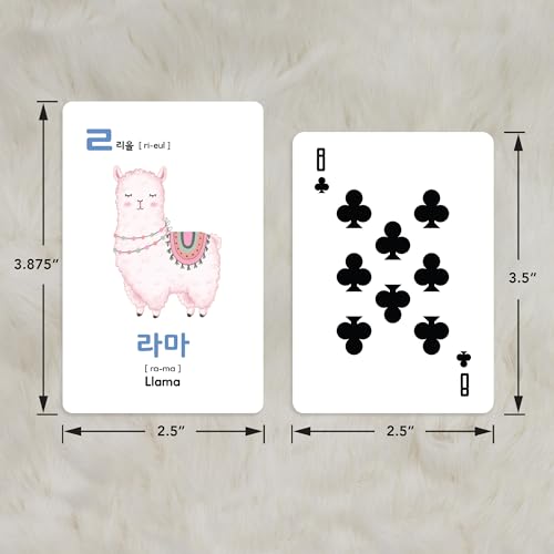 Stellarsol Toddler Korean Flashcards 55 Cards Learning Set