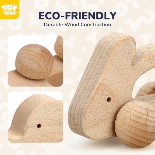 TOY Life Wooden Animal Cars for 0-12 Months
