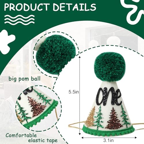 Happy Camper Woodland 1st Birthday Hat for Boys 1