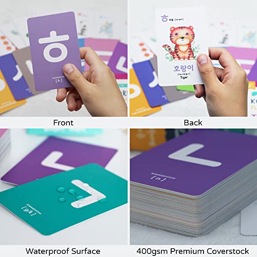 Stellarsol Toddler Korean Flashcards 55 Cards Learning Set