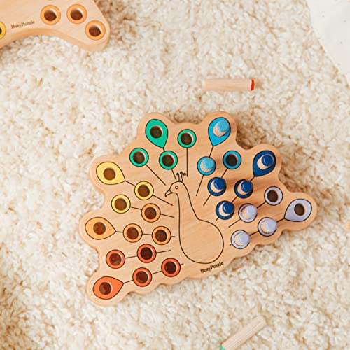 Hedgehog Montessori Sorter Toy for Kids