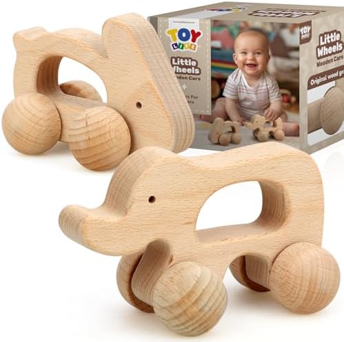 TOY Life Wooden Animal Cars for 0-12 Months