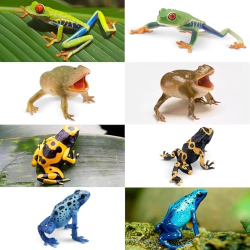 Toymany Frog Toy Figures 12PCS Realistic Playset