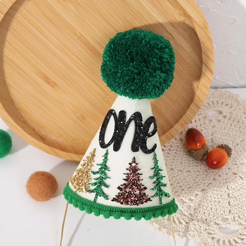 Happy Camper Woodland 1st Birthday Hat for Boys 1
