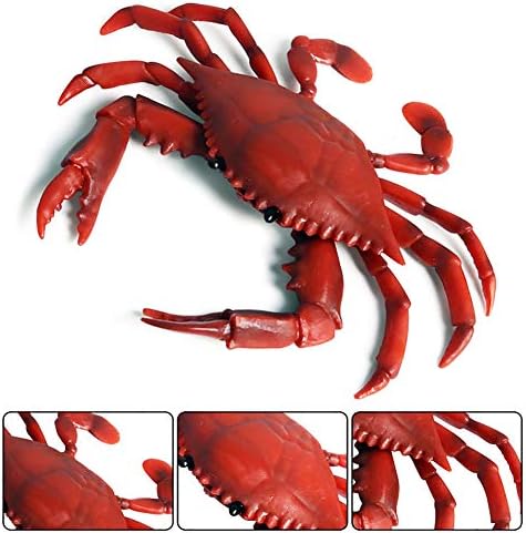DOYIFUN Realistic Crab Figurine Set 2 Pcs Sea Creature Model Toys