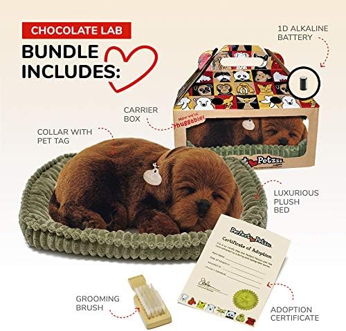 Perfect Petzzz - Realistic Chocolate Lab Stuffed Toy
