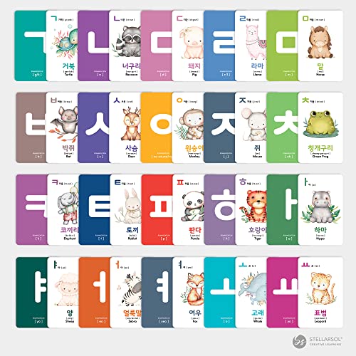 Stellarsol Toddler Korean Flashcards 55 Cards Learning Set