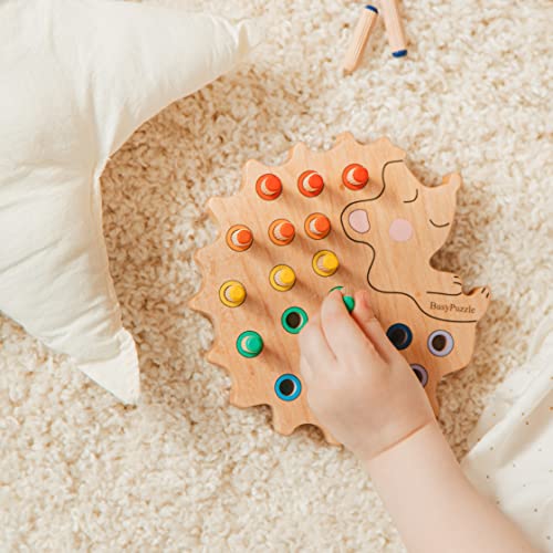 Hedgehog Montessori Sorter Toy for Kids