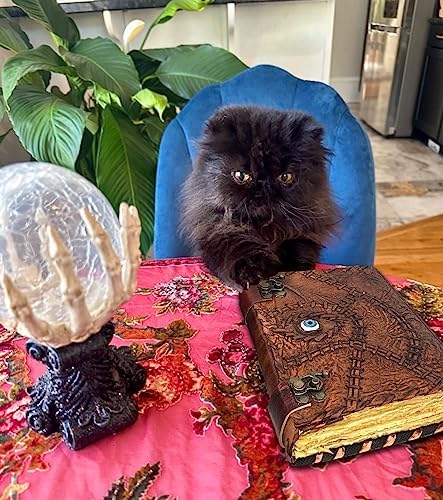 ULCH Hocus Pocus Spell Book with Lock Decor