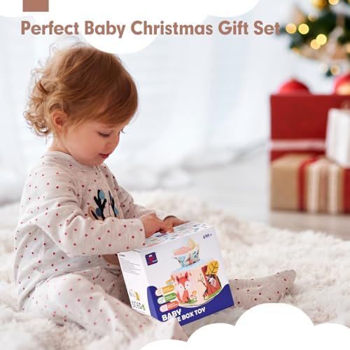 Hahaland Baby Tissue Box Toy for 6-12 Months