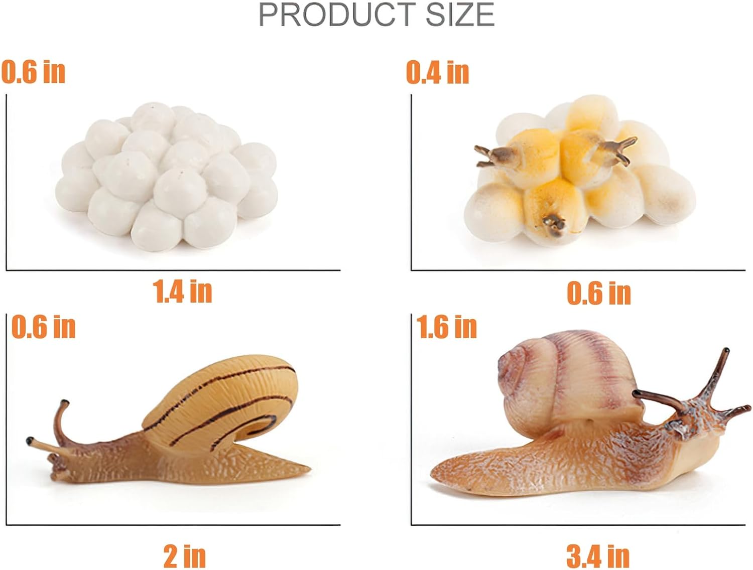 Montessori Life Cycle Snail Figurines Learning Toy