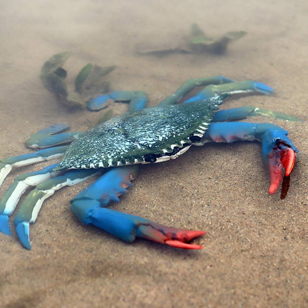 DOYIFUN Realistic Crab Figurine Set 2 Pcs Sea Creature Model Toys