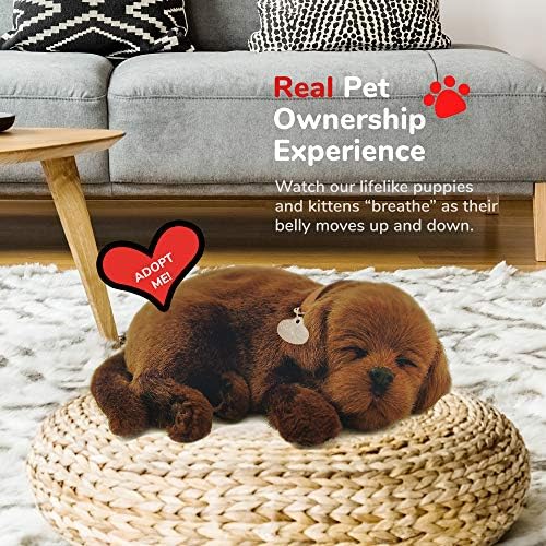 Perfect Petzzz - Realistic Chocolate Lab Stuffed Toy