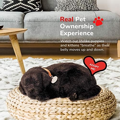 Perfect Petzzz - Realistic Black Lab Stuffed Pet Toy 1