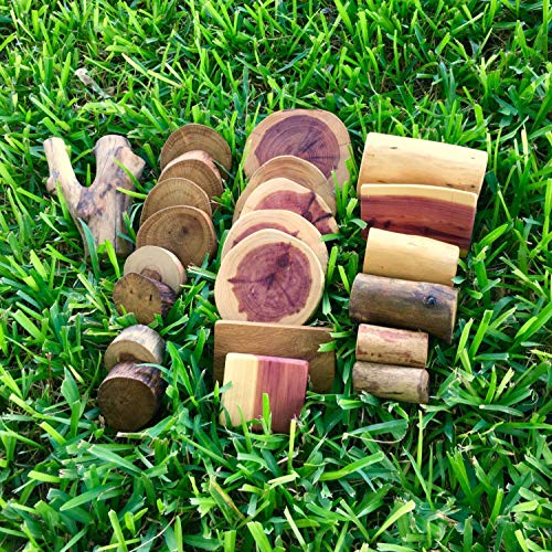 XL Tree Blocks 22 pc by Treemagination 1