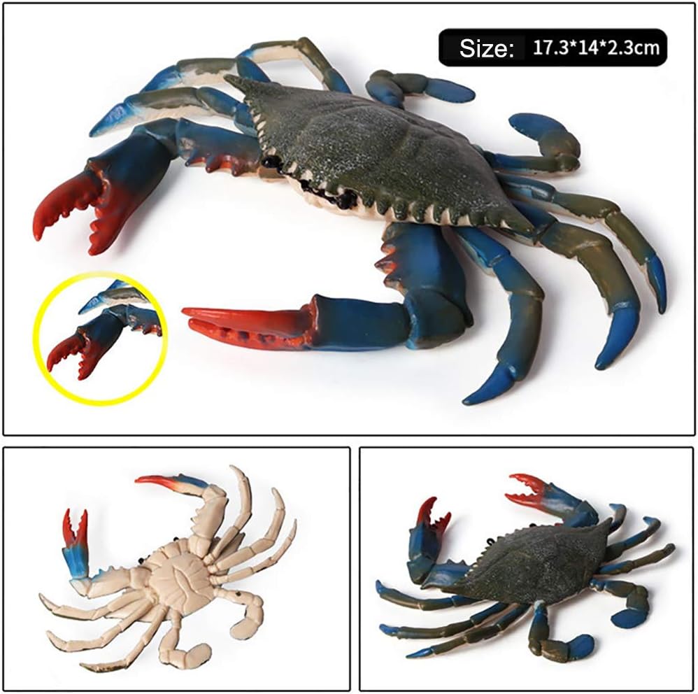 DOYIFUN Realistic Crab Figurine Set 2 Pcs Sea Creature Model Toys