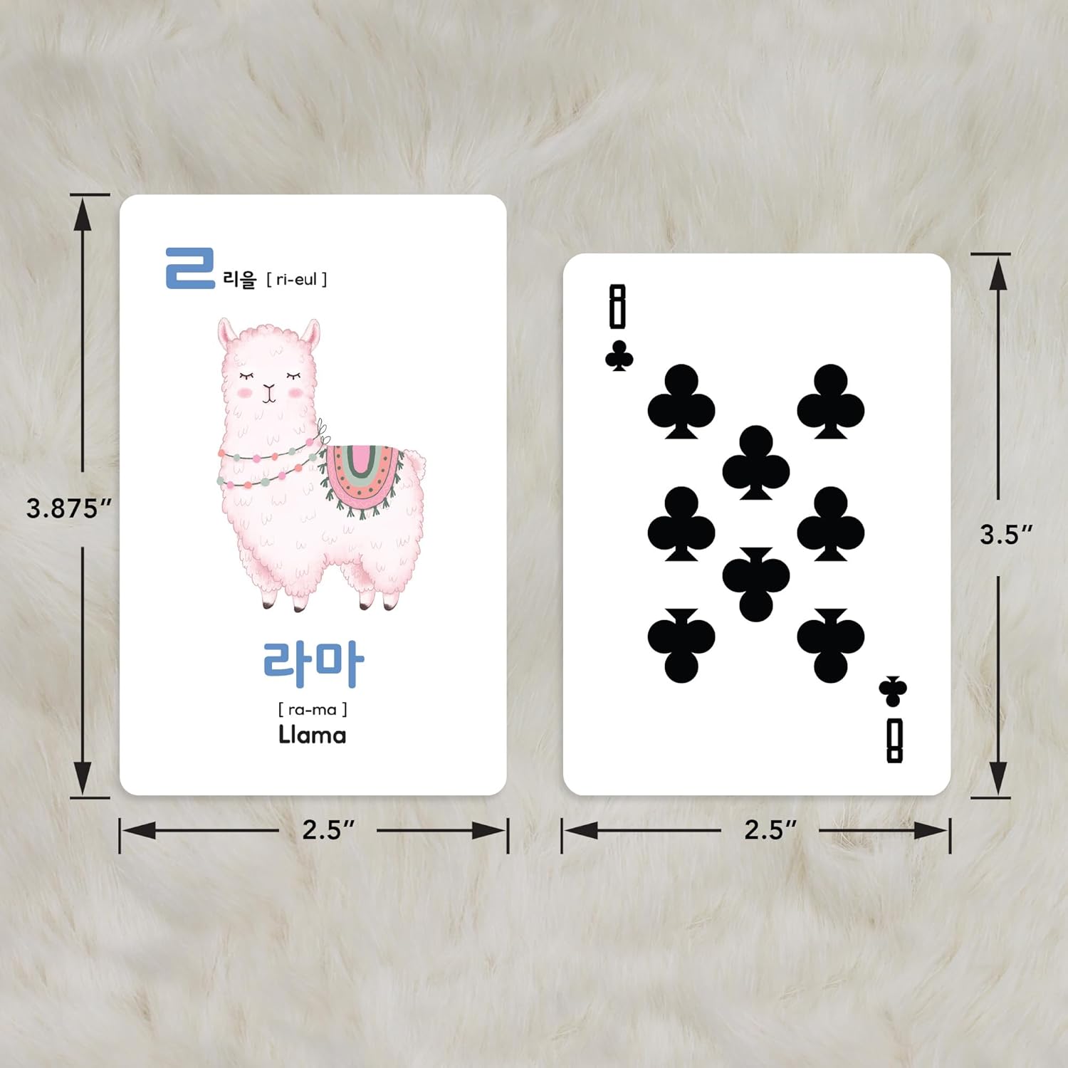 Stellarsol Toddler Korean Flashcards 55 Cards Learning Set
