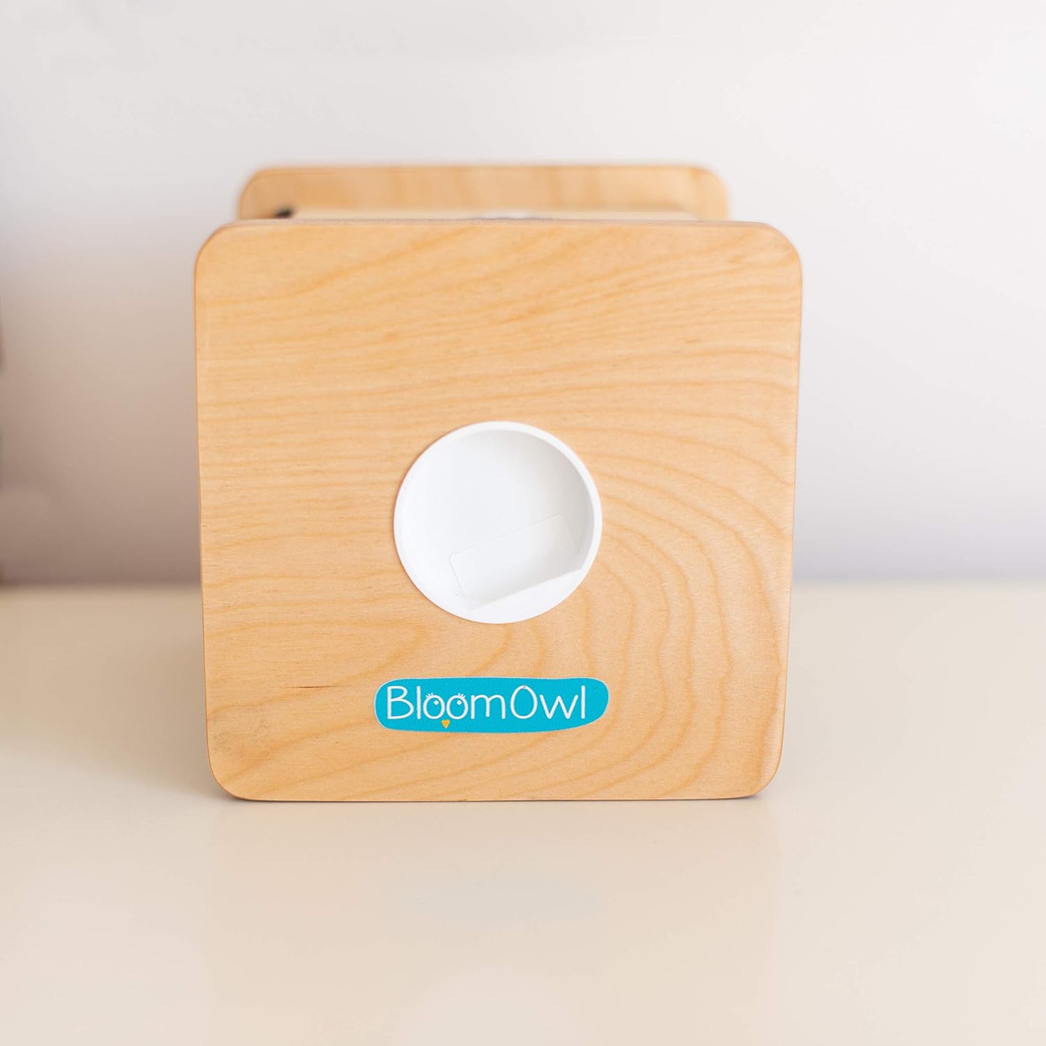 BloomOwl Wooden Piggy Bank - Personalized Unicorn Doodle Gift