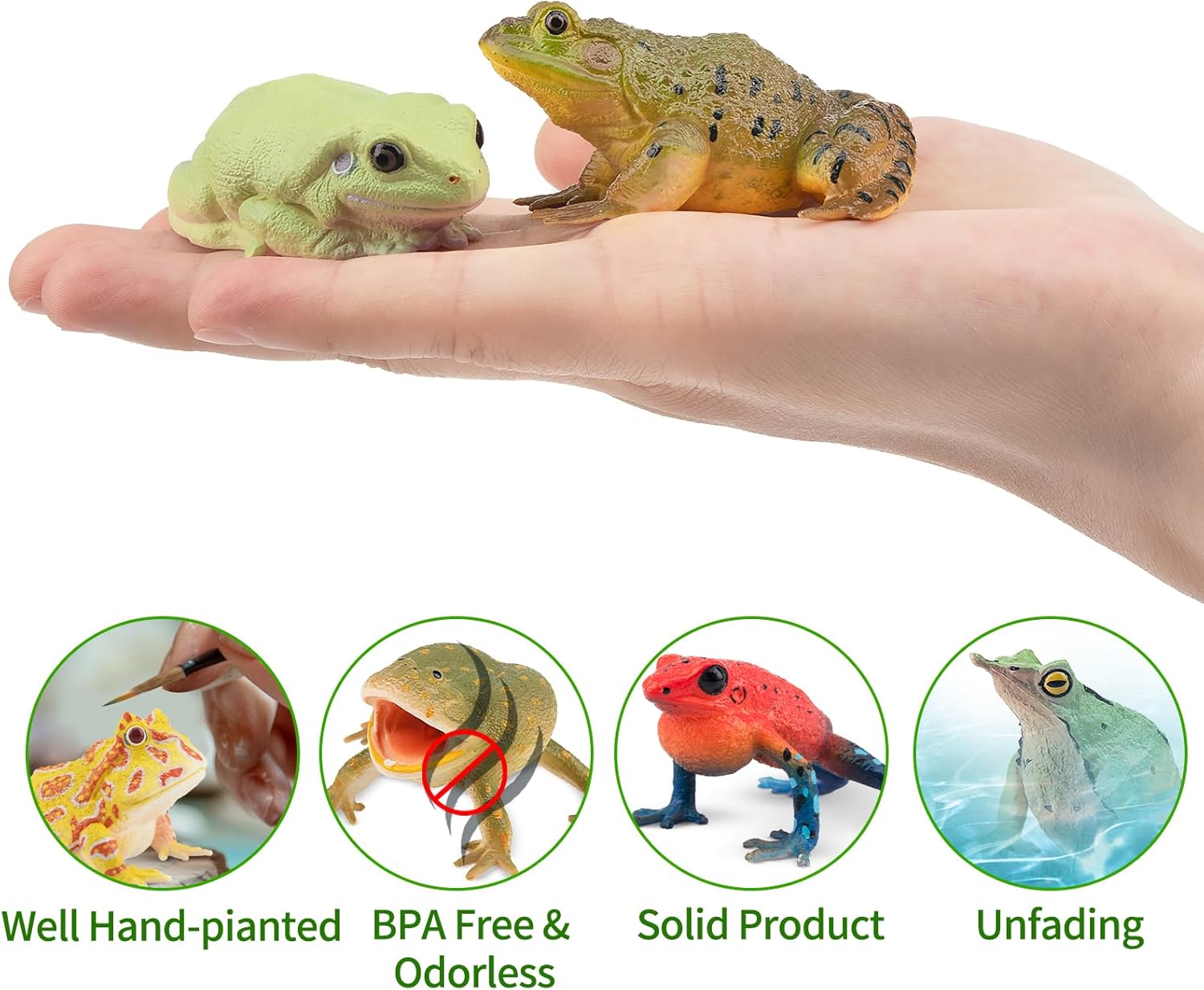 Toymany Frog Toy Figures 12PCS Realistic Playset