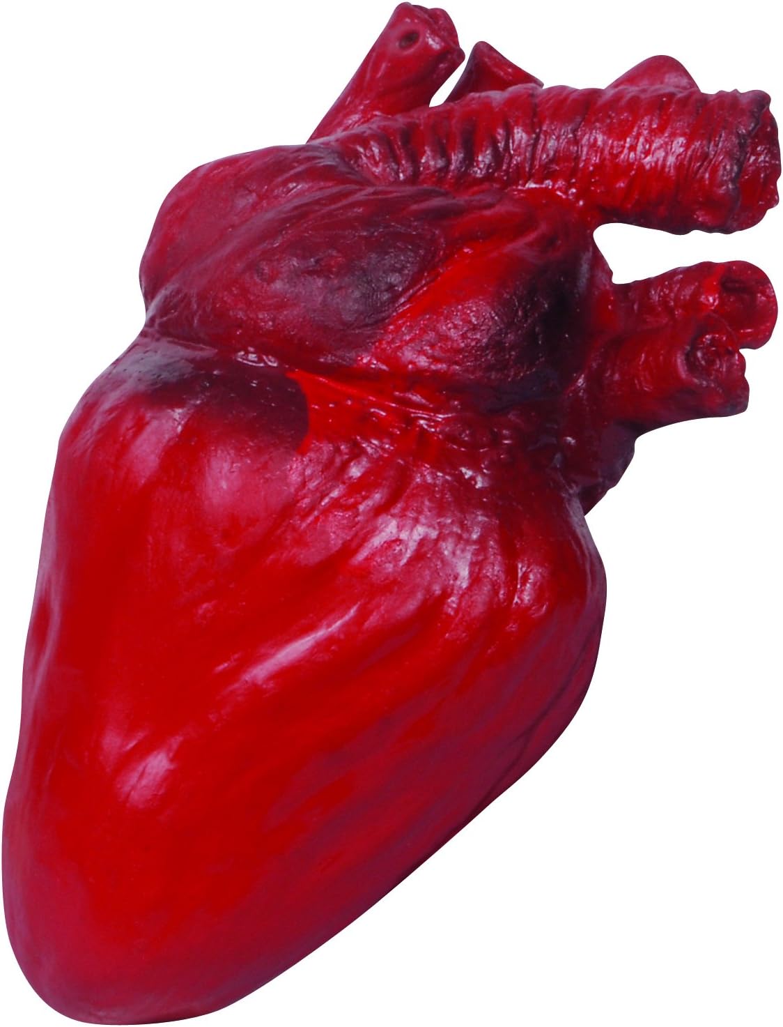 Loftus International Realistic Heart Halloween Decoration Prop