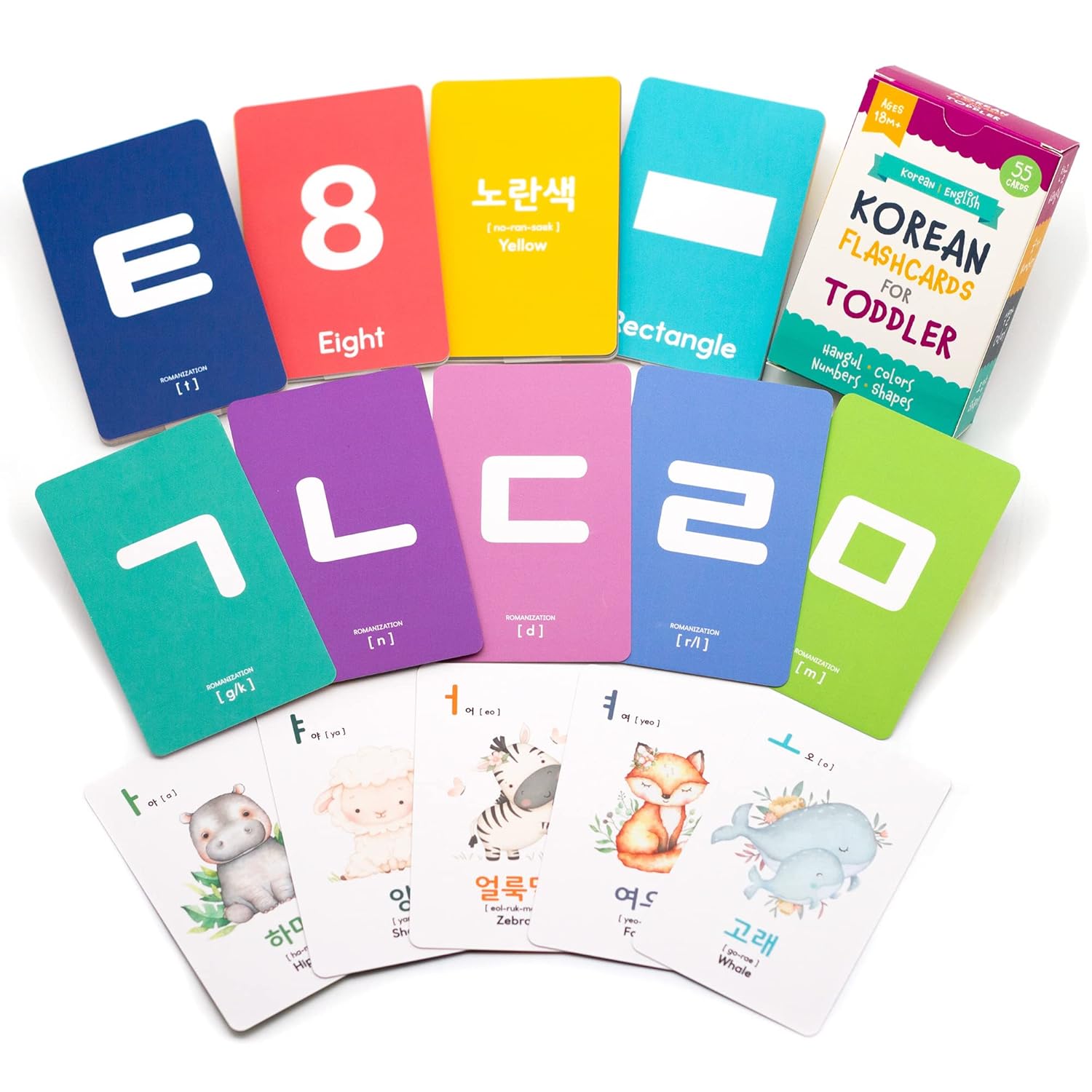 Stellarsol Toddler Korean Flashcards 55 Cards Learning Set