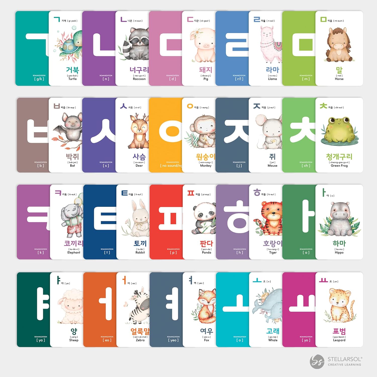 Stellarsol Toddler Korean Flashcards 55 Cards Learning Set