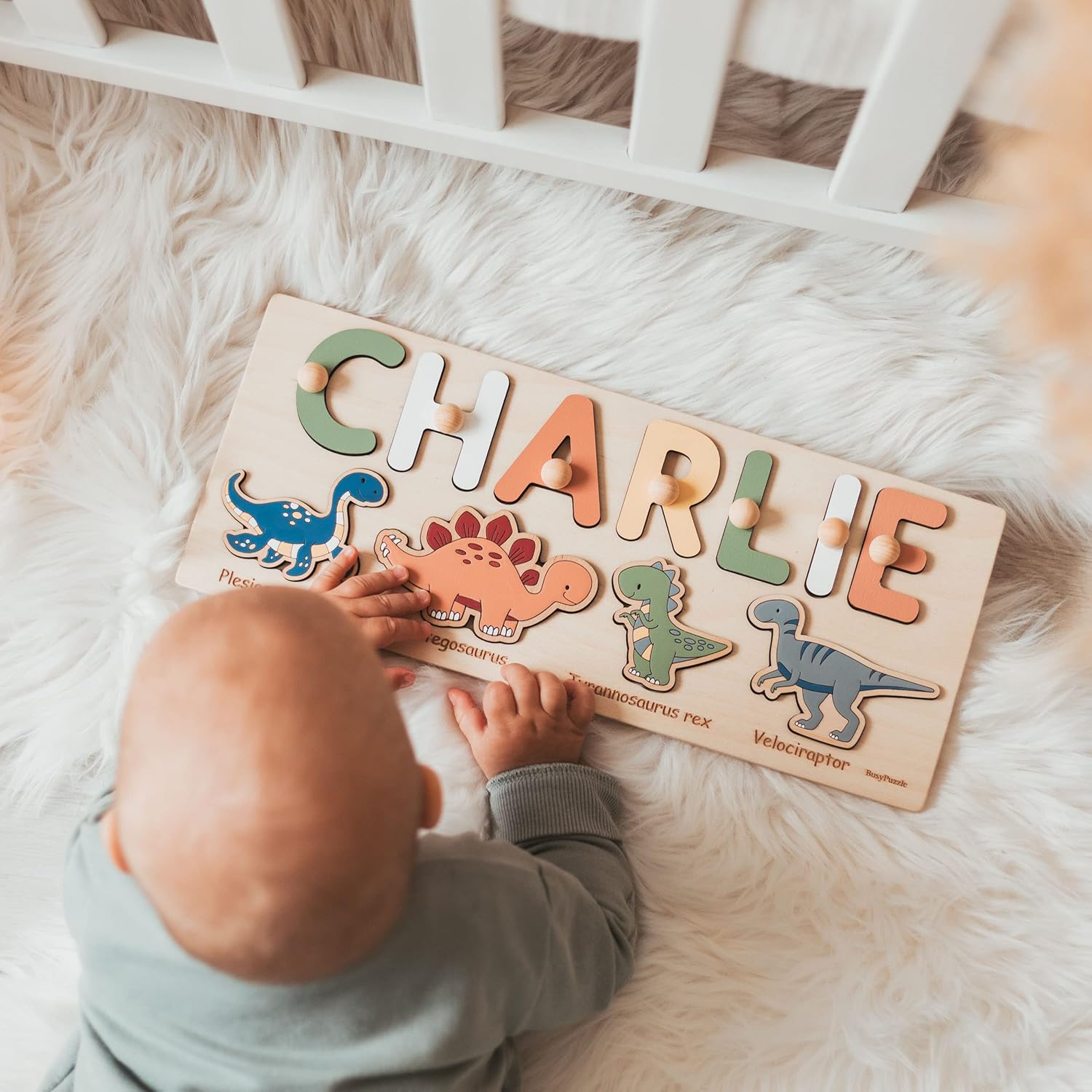 Dinosaur Name Puzzle for 1 Year Old