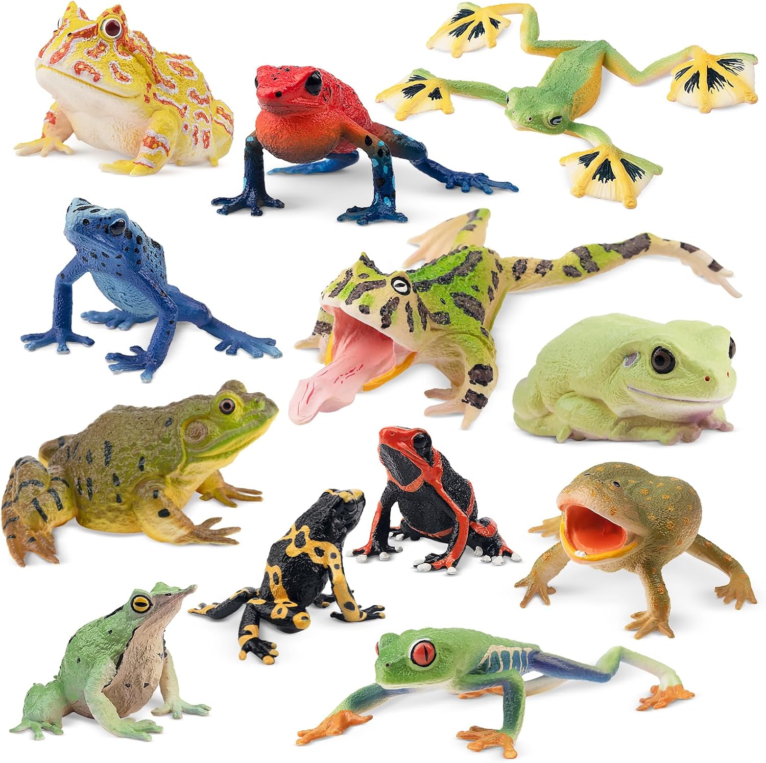 Toymany Frog Toy Figures 12PCS Realistic Playset