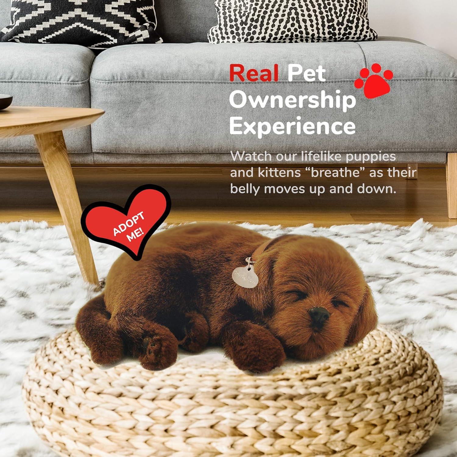 Perfect Petzzz - Realistic Chocolate Lab Stuffed Toy